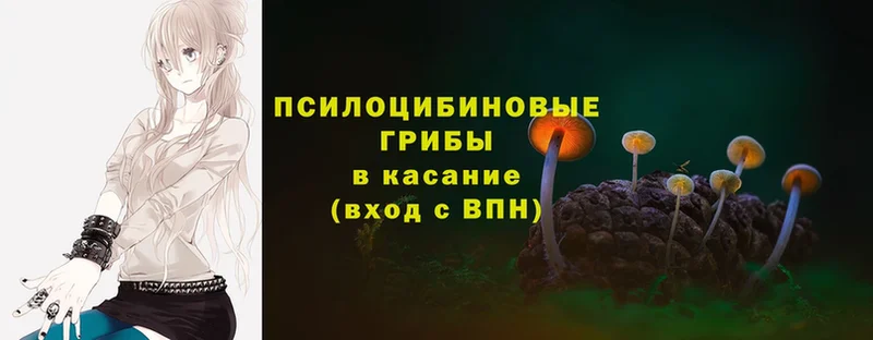 Галлюциногенные грибы MAGIC MUSHROOMS  hydra ССЫЛКА  Отрадная 